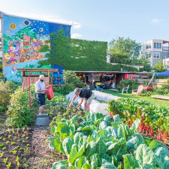 Emerald Street Community Farm