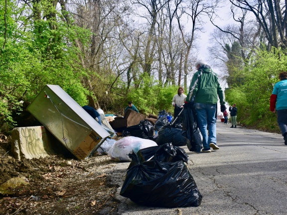 Trash cleanup in park